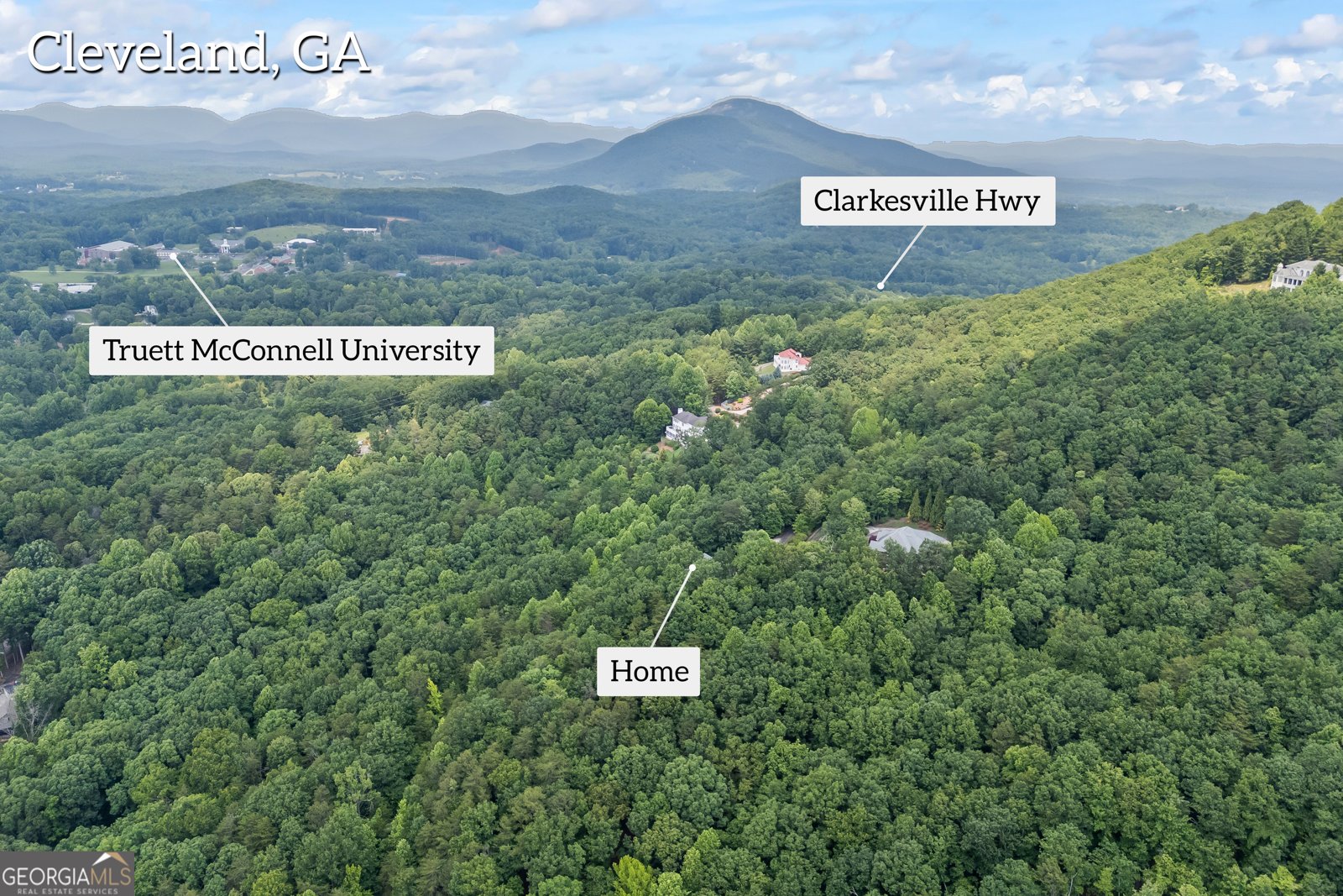 894 Oak Pointe Drive Cleveland - 52