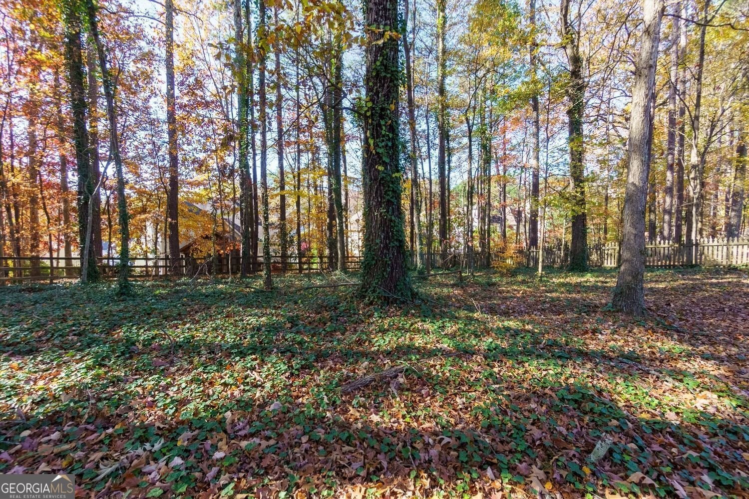 2001 Towne Lake Hills Woodstock - 41