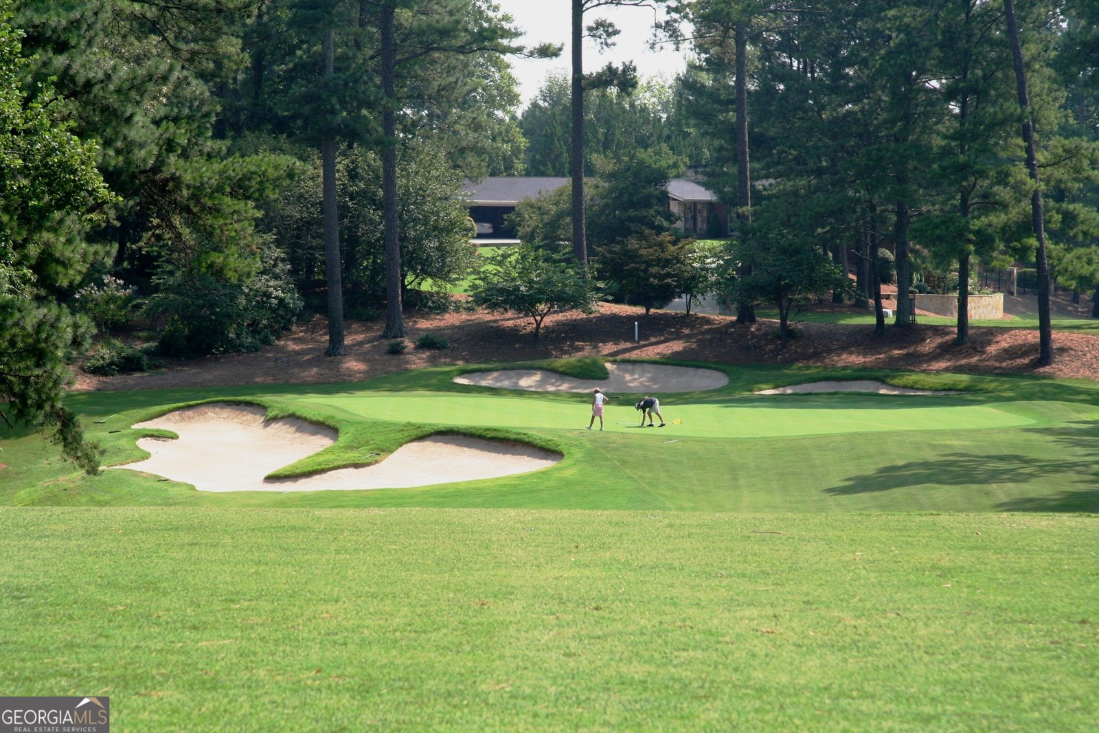 11785 Mountain Laurel Drive Roswell - 10