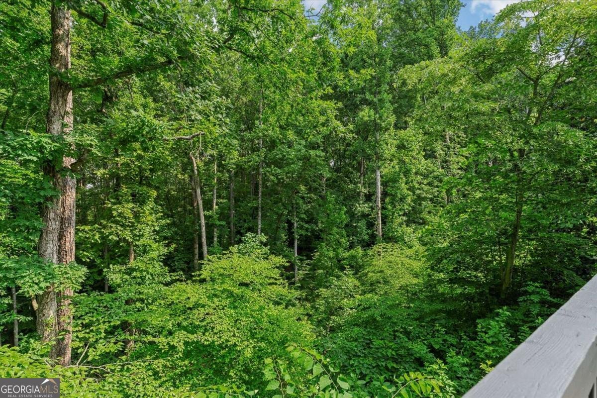 11785 Mountain Laurel Drive Roswell - 53
