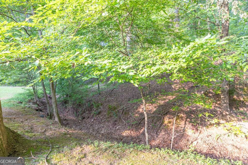 1253 RIVERMARK Court Lawrenceville - 60