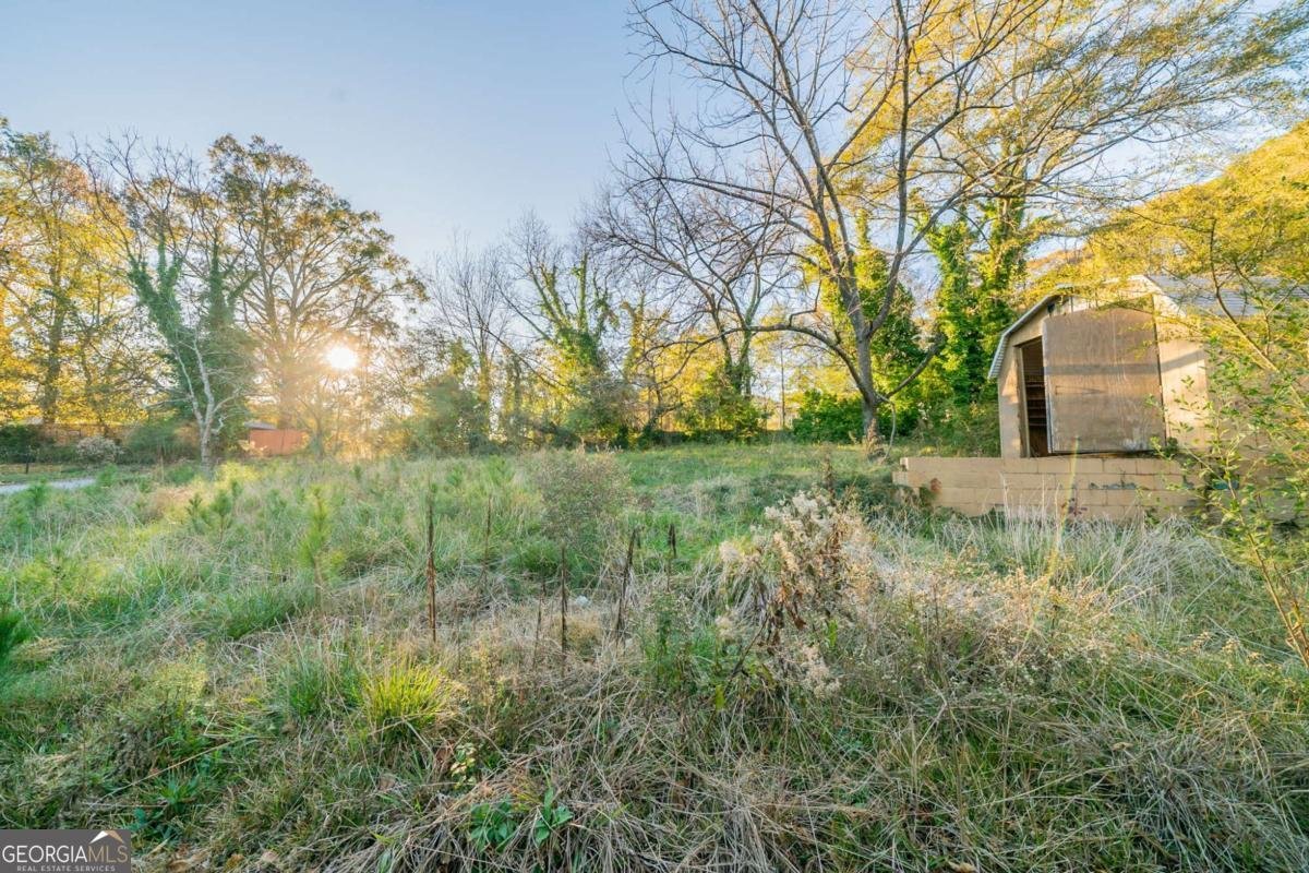 2693 Larkspur Drive Atlanta - 29