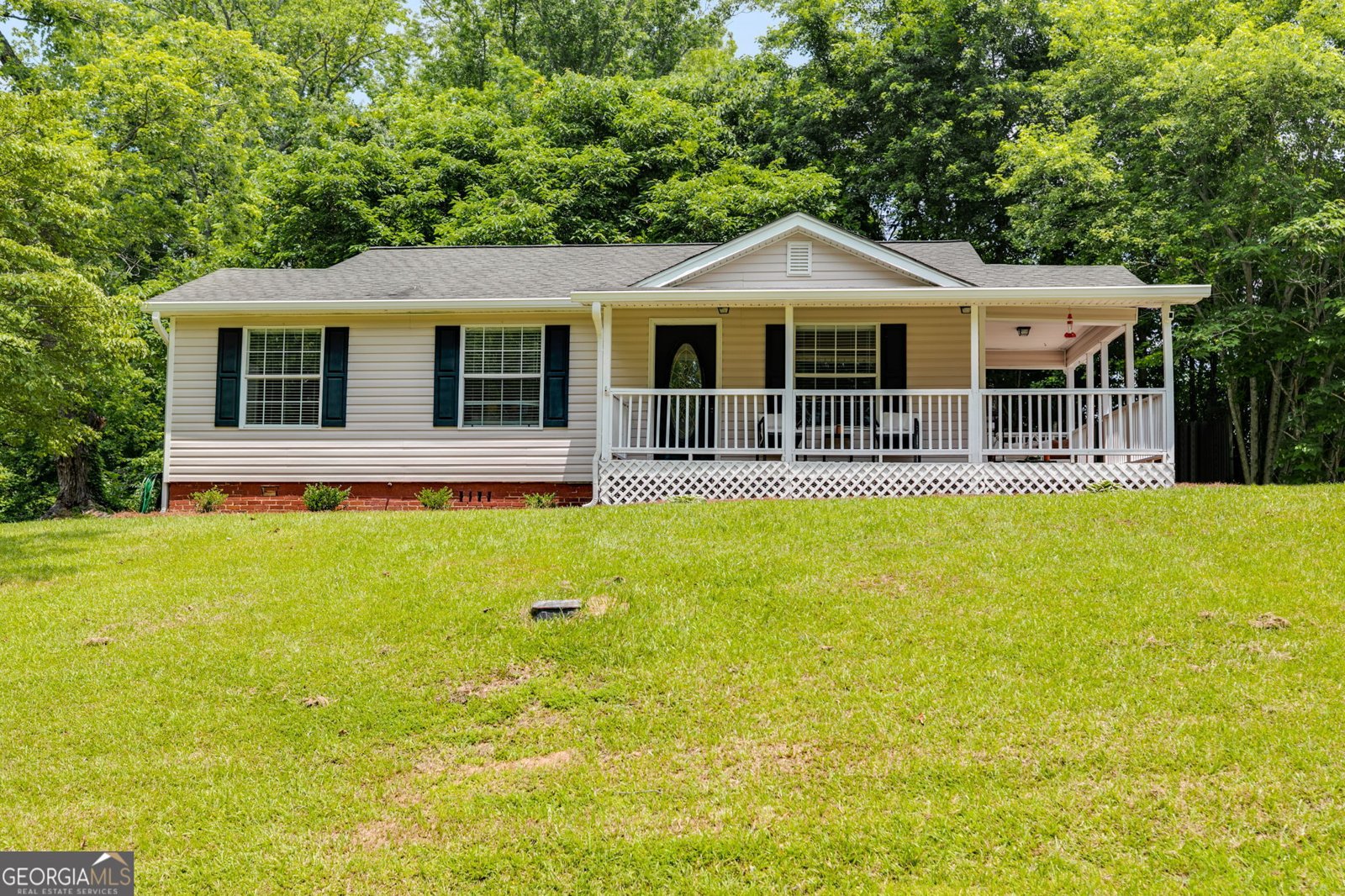 117 White Street Tallapoosa - 1