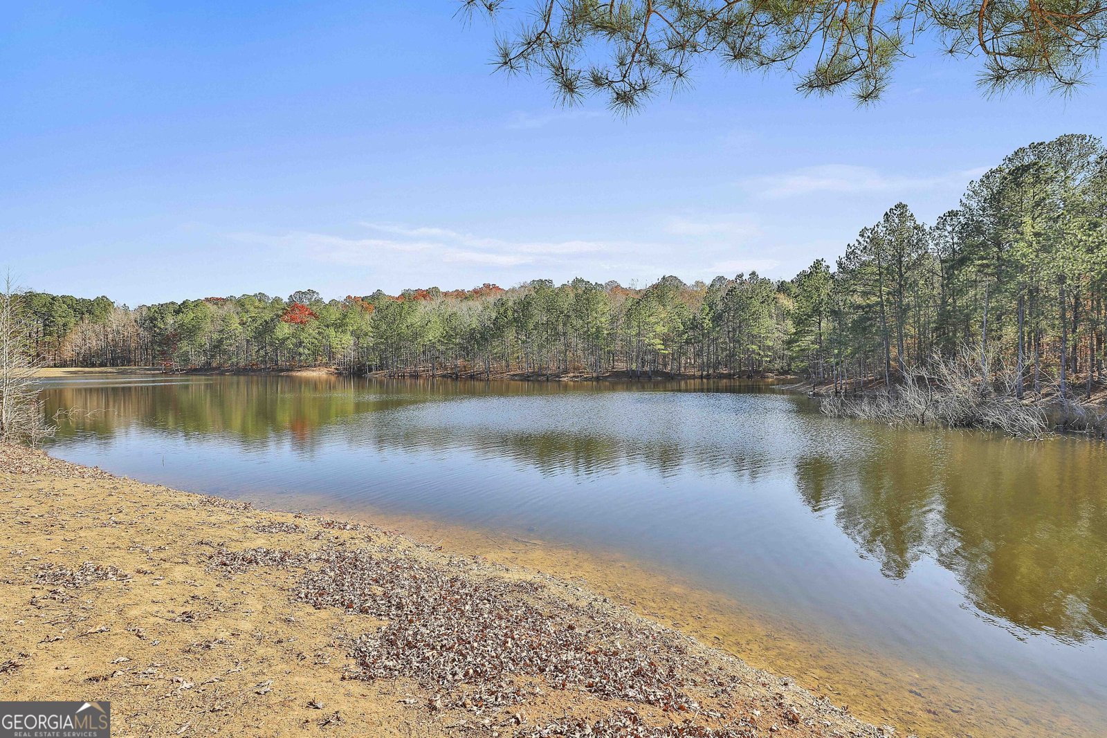 395 McIntosh Road Brooks - 64