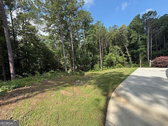 190 Paul Aiken Road Dallas - 43