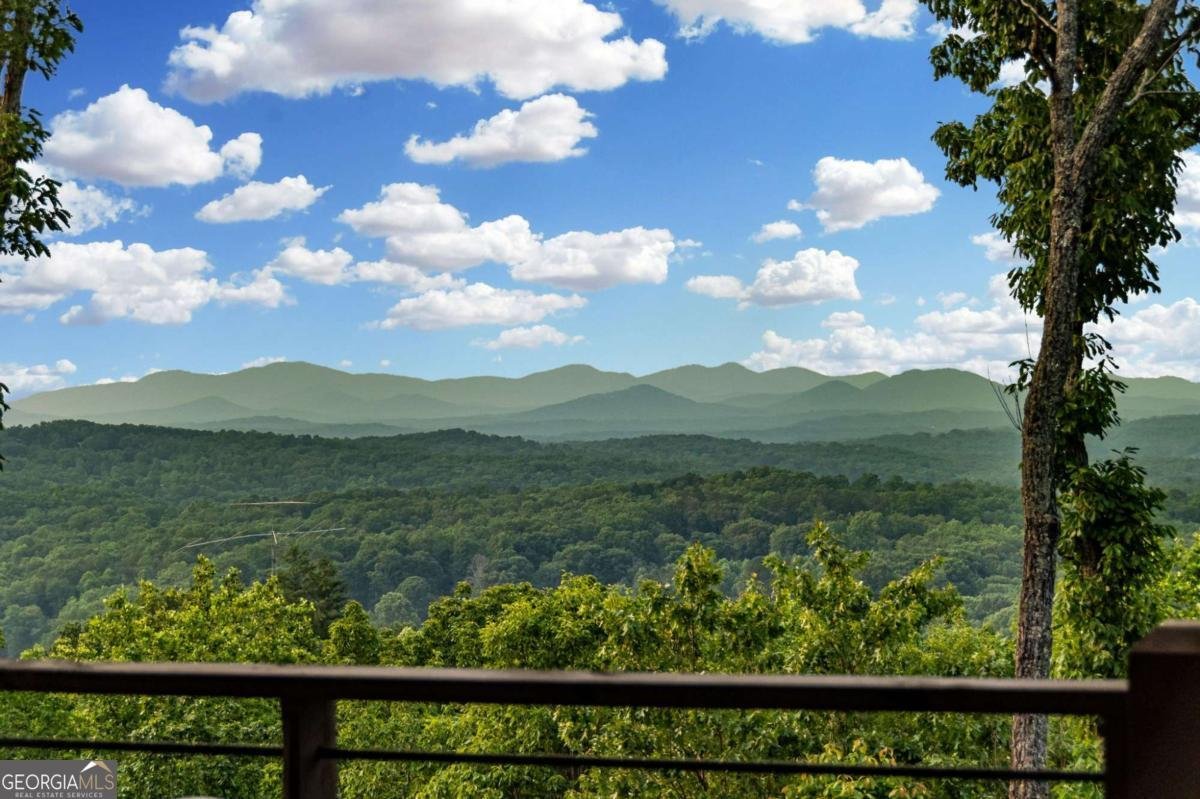 719 Ripshin Mountain Road Blue Ridge - 10