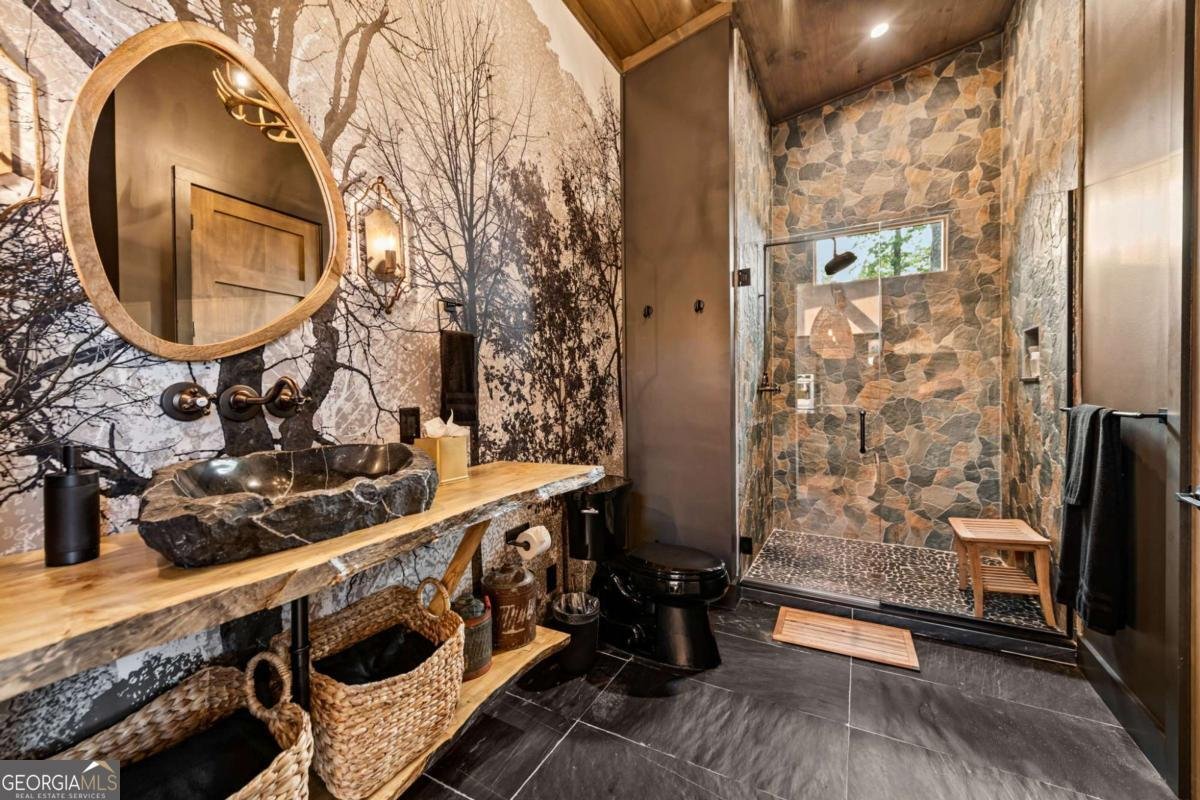719 Ripshin Mountain Road Blue Ridge - 20