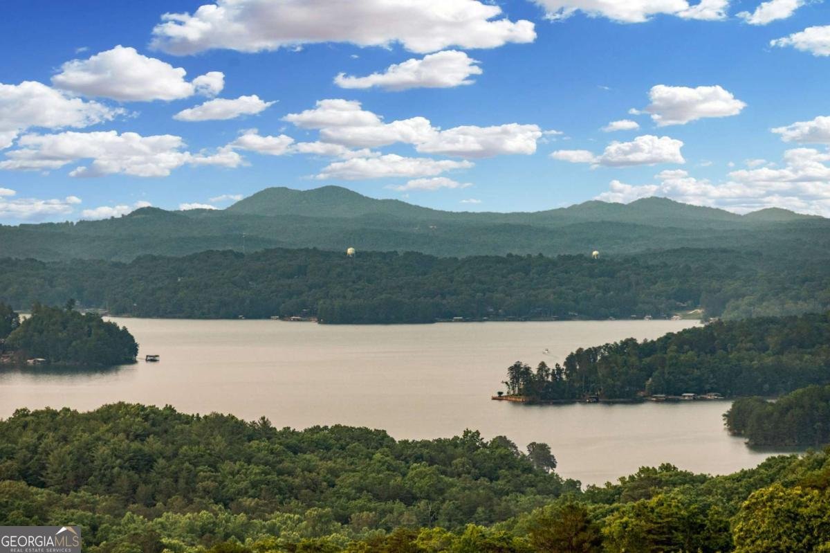 719 Ripshin Mountain Road Blue Ridge - 9