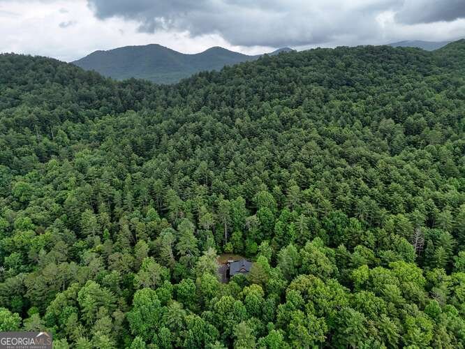 2726 Turkey Trot Hiawassee - 41