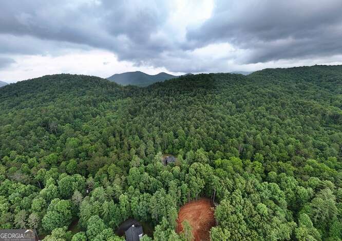 2726 Turkey Trot Hiawassee - 42
