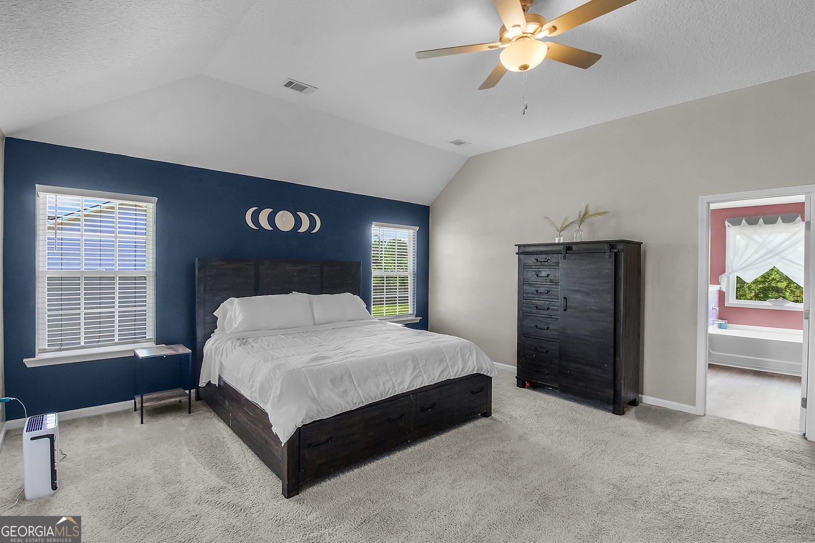 26 Sunflower Circle Ludowici - 28