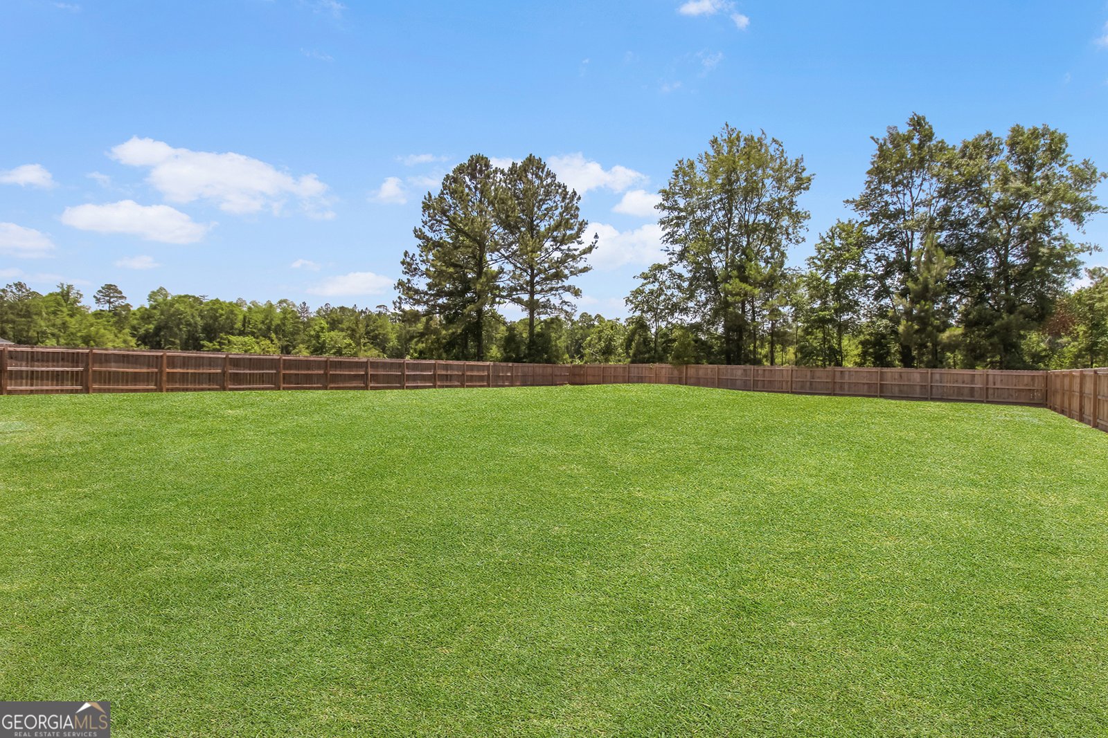 26 Sunflower Circle Ludowici - 49