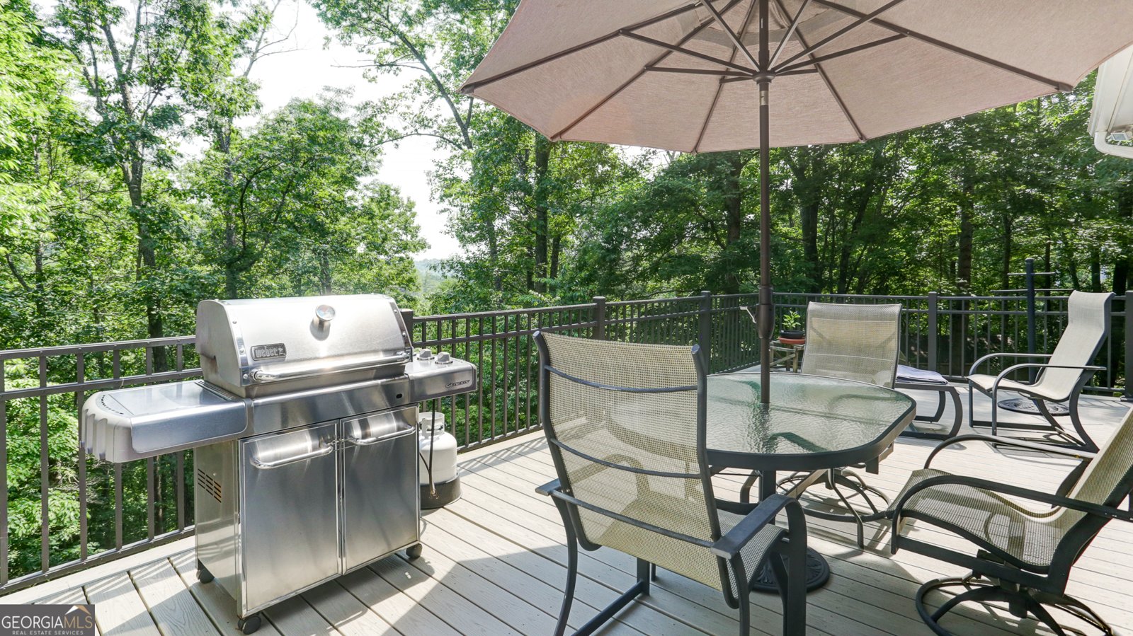 386 Old River Road Dahlonega - 32
