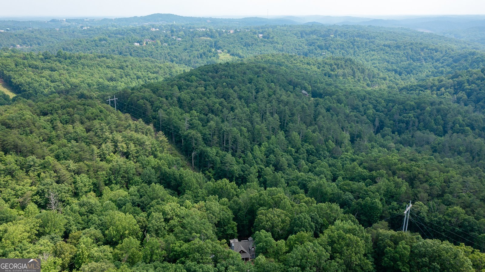 386 Old River Road Dahlonega - 40