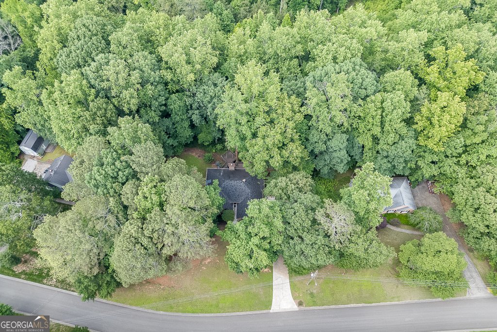 5930 Bridle Drive Cumming - 37
