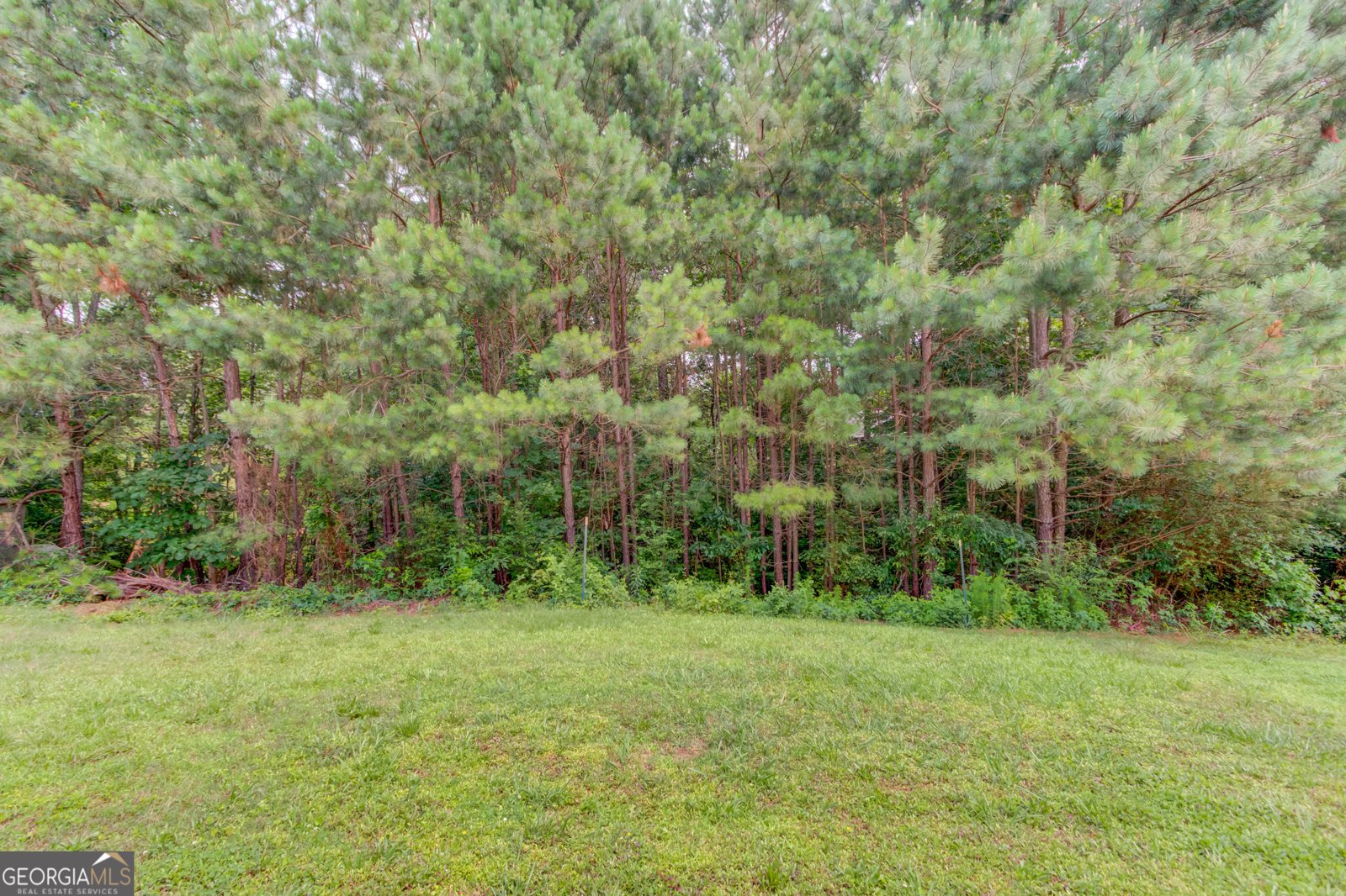 2005 Ashton Pointe Drive Dacula - 45