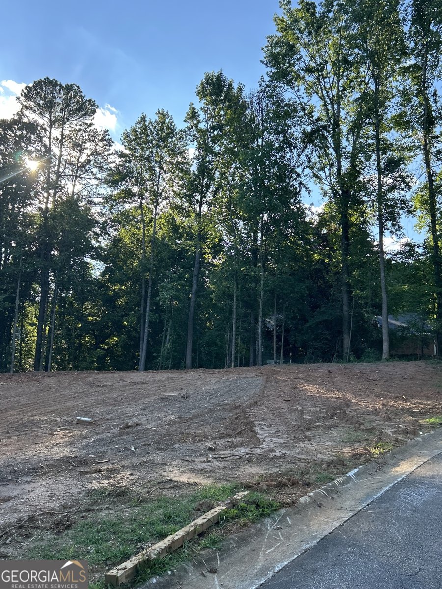 5422 Copper Creek Road Flowery Branch - 8
