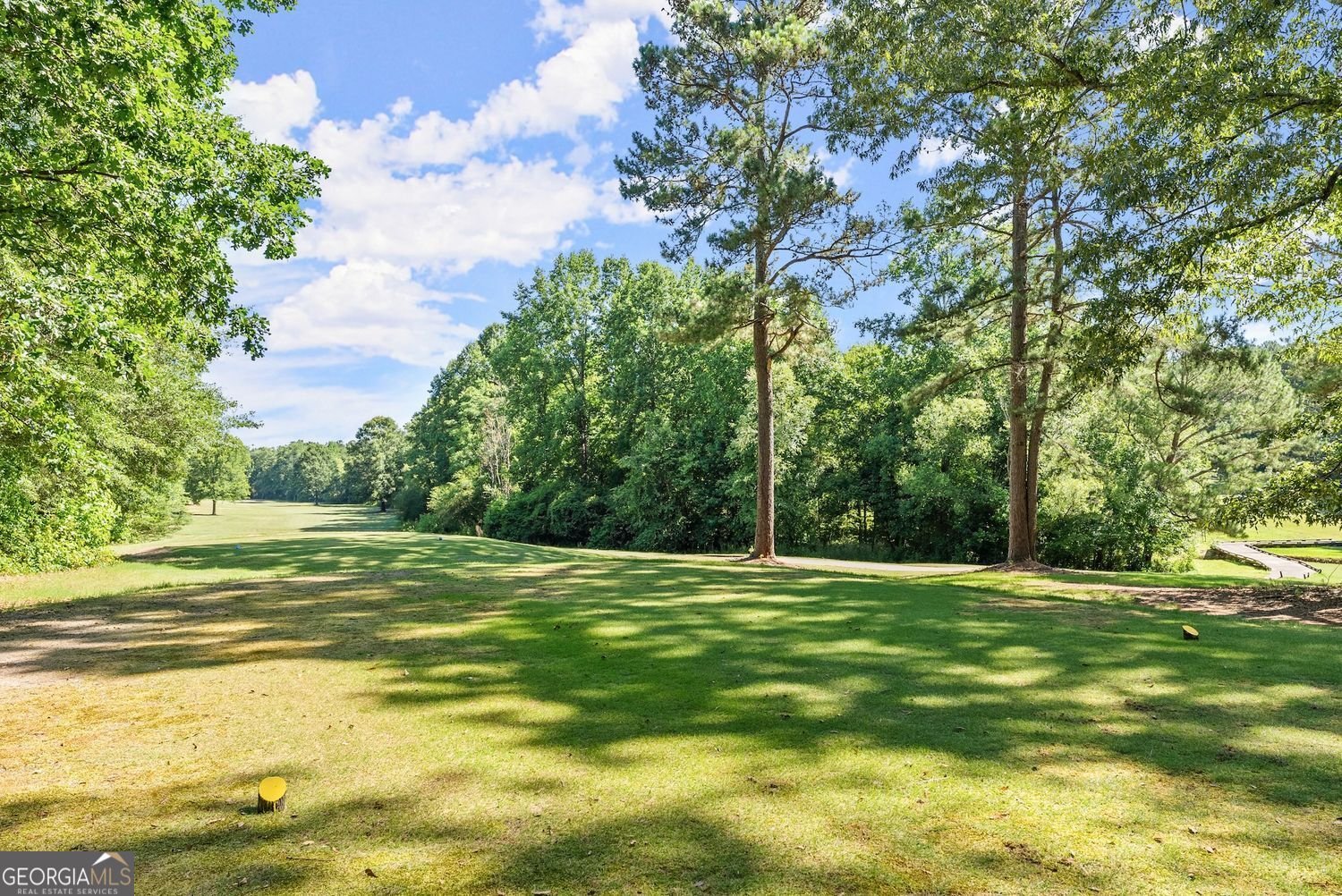 1421 Lane Creek Drive Drive Bishop - 72