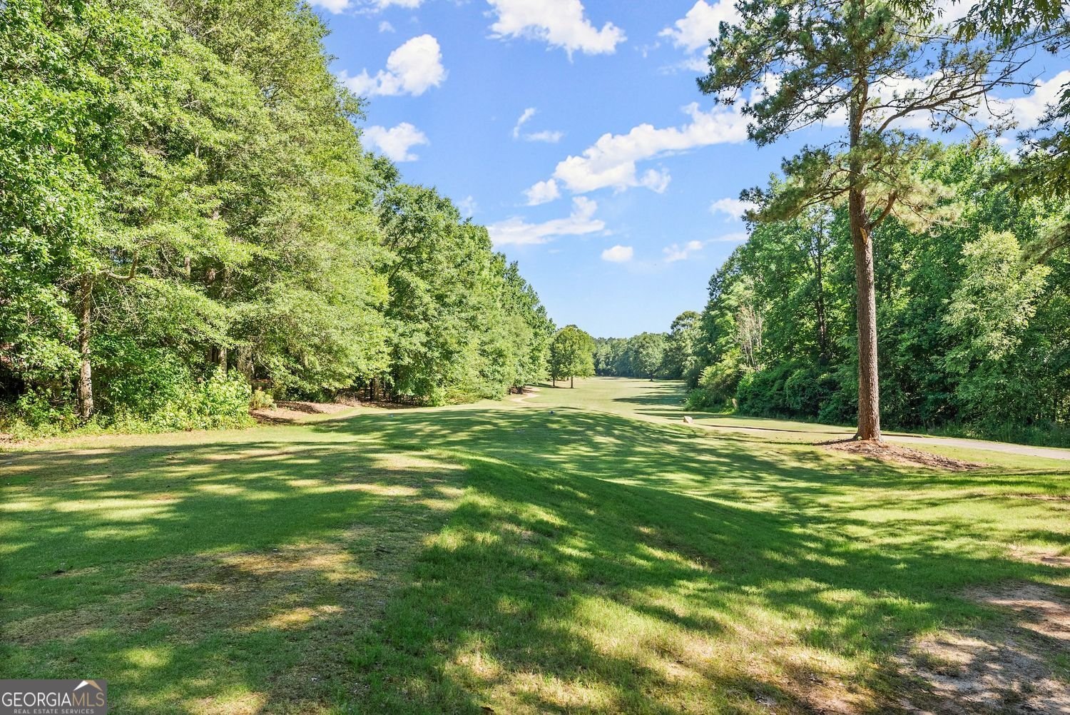 1421 Lane Creek Drive Drive Bishop - 73