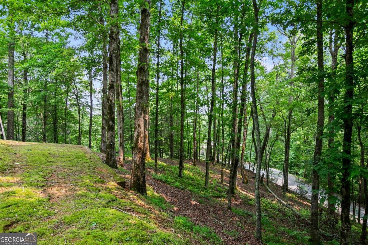 100 Oboe Court Ellijay - 38