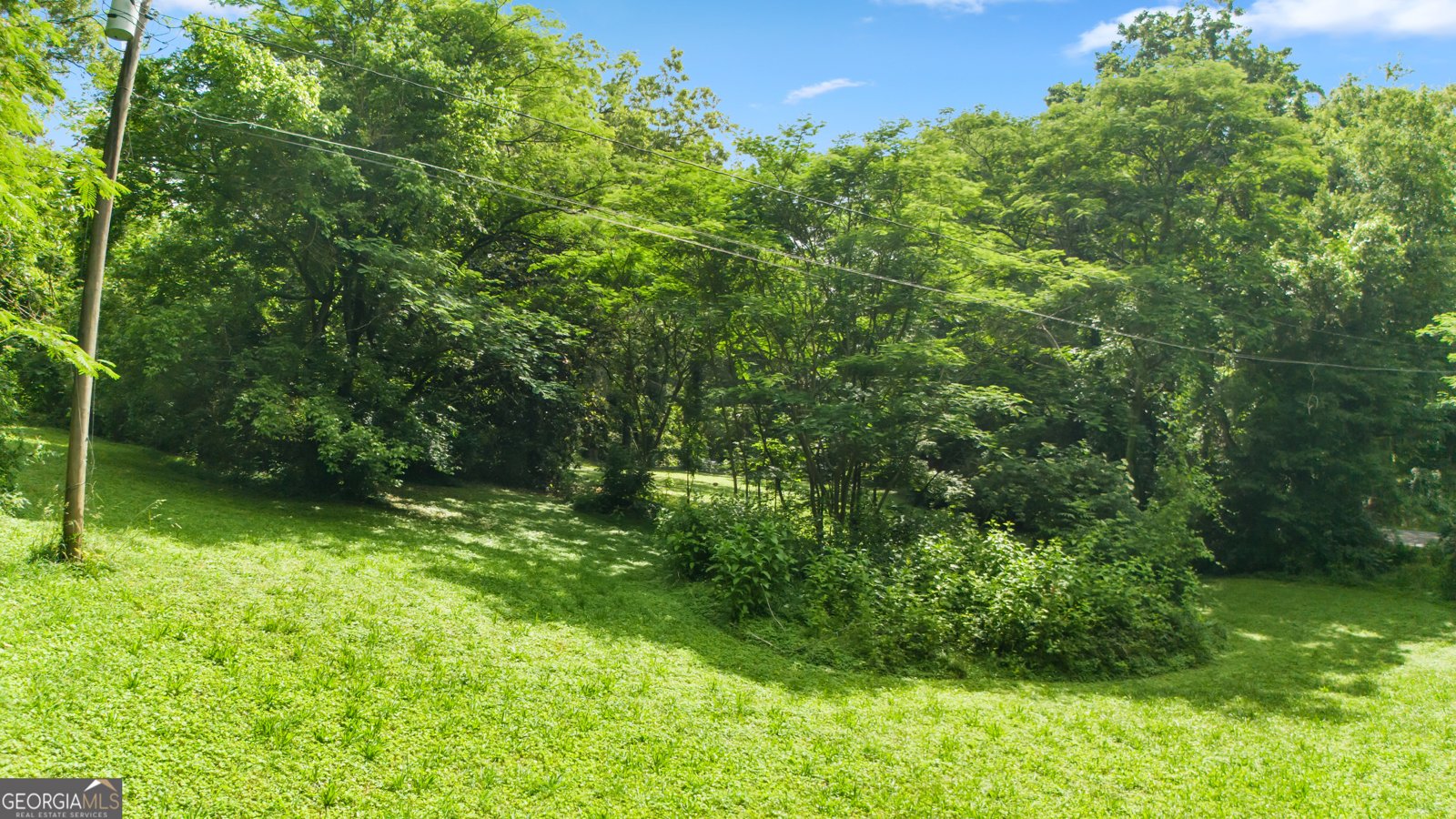 12728 Bells Ferry Road Canton - 15