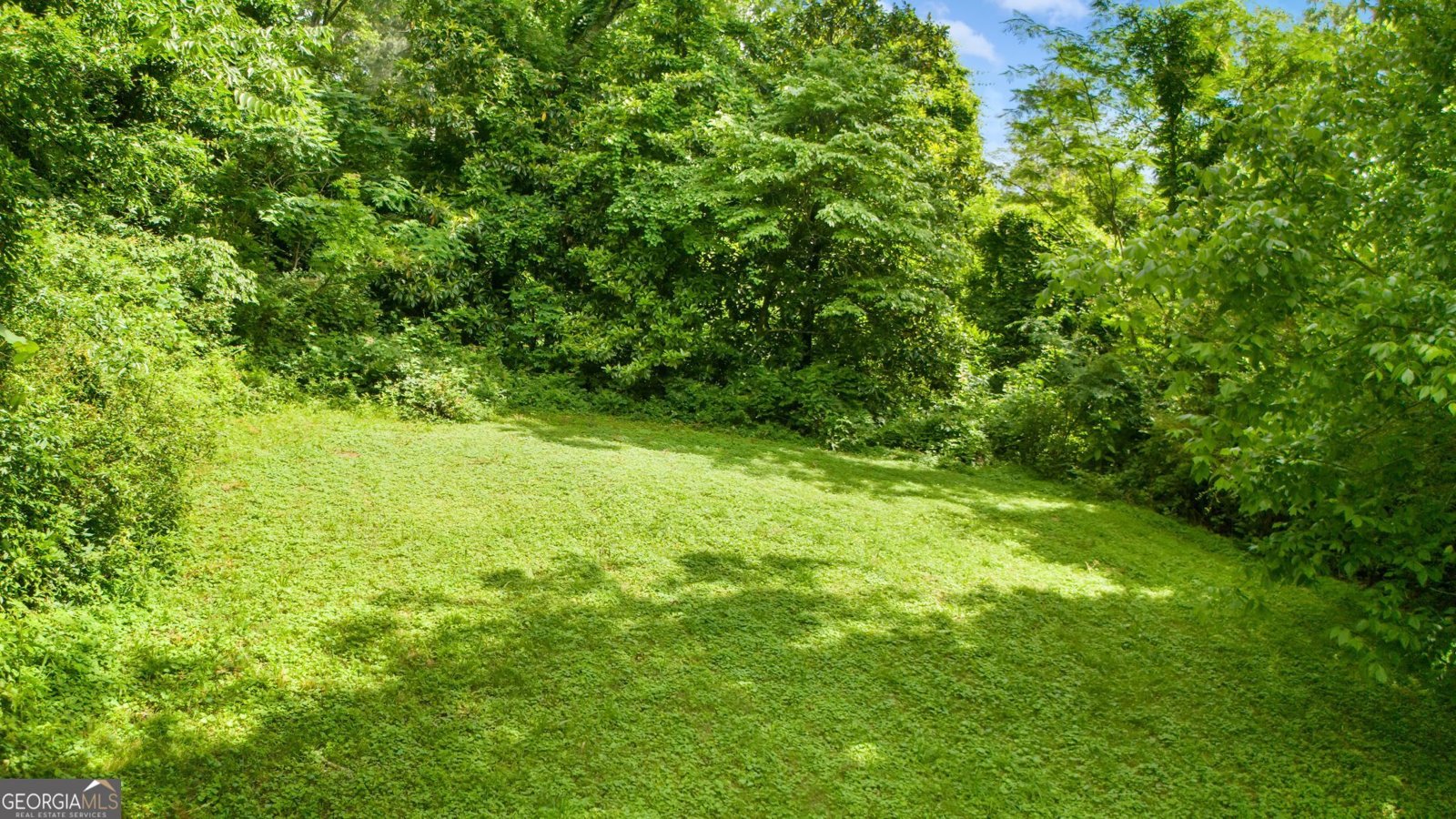 12728 Bells Ferry Road Canton - 16