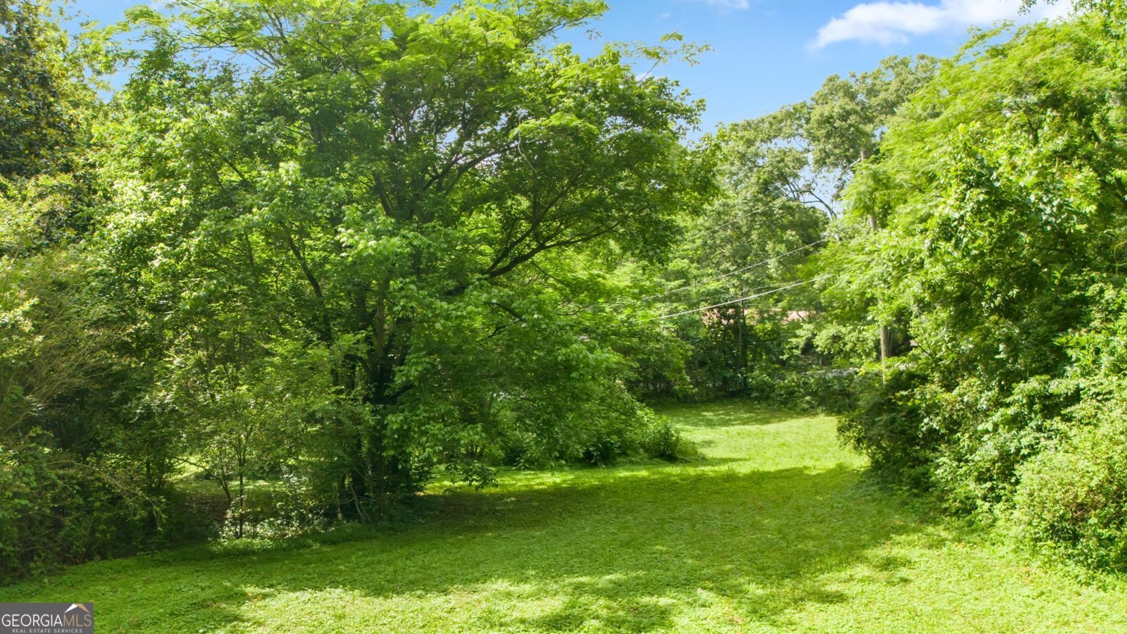 12728 Bells Ferry Road Canton - 17