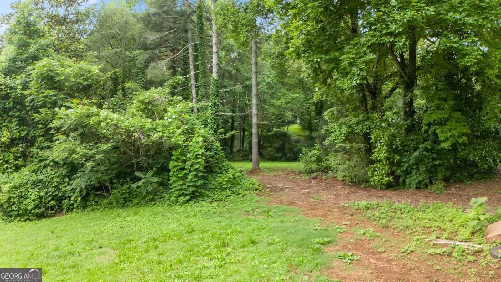 12728 Bells Ferry Road Canton - 19