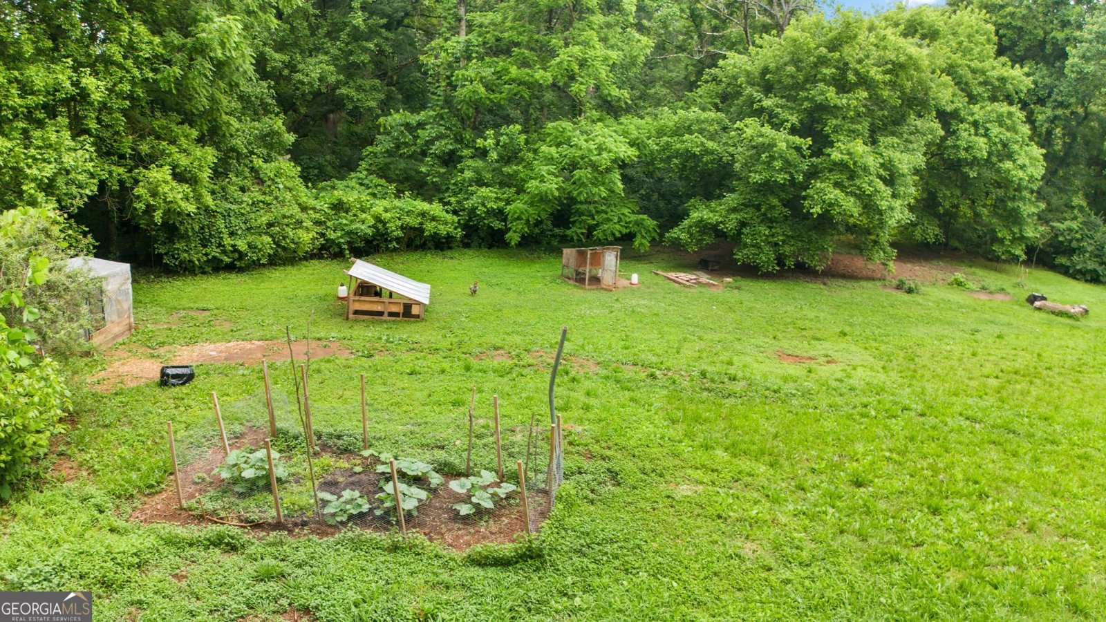 12728 Bells Ferry Road Canton - 22