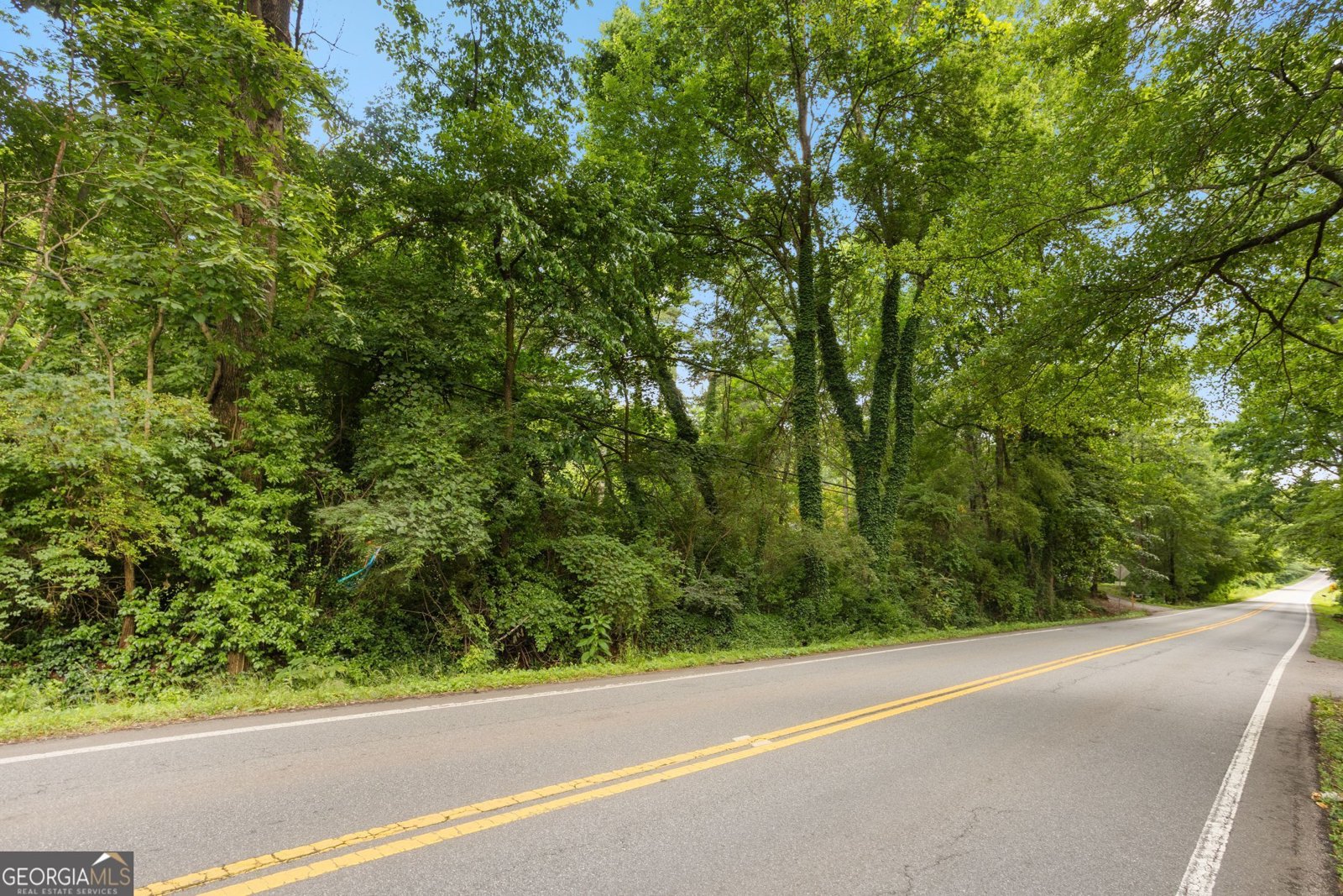 12728 Bells Ferry Road Canton - 31