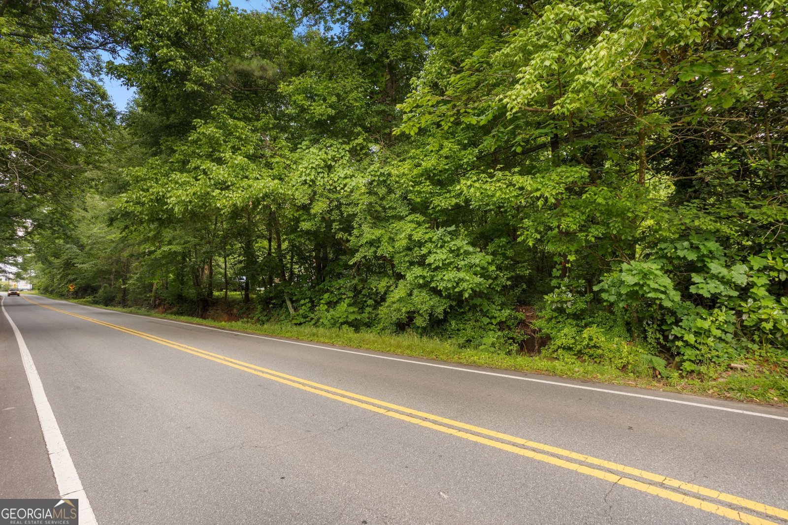 12728 Bells Ferry Road Canton - 32