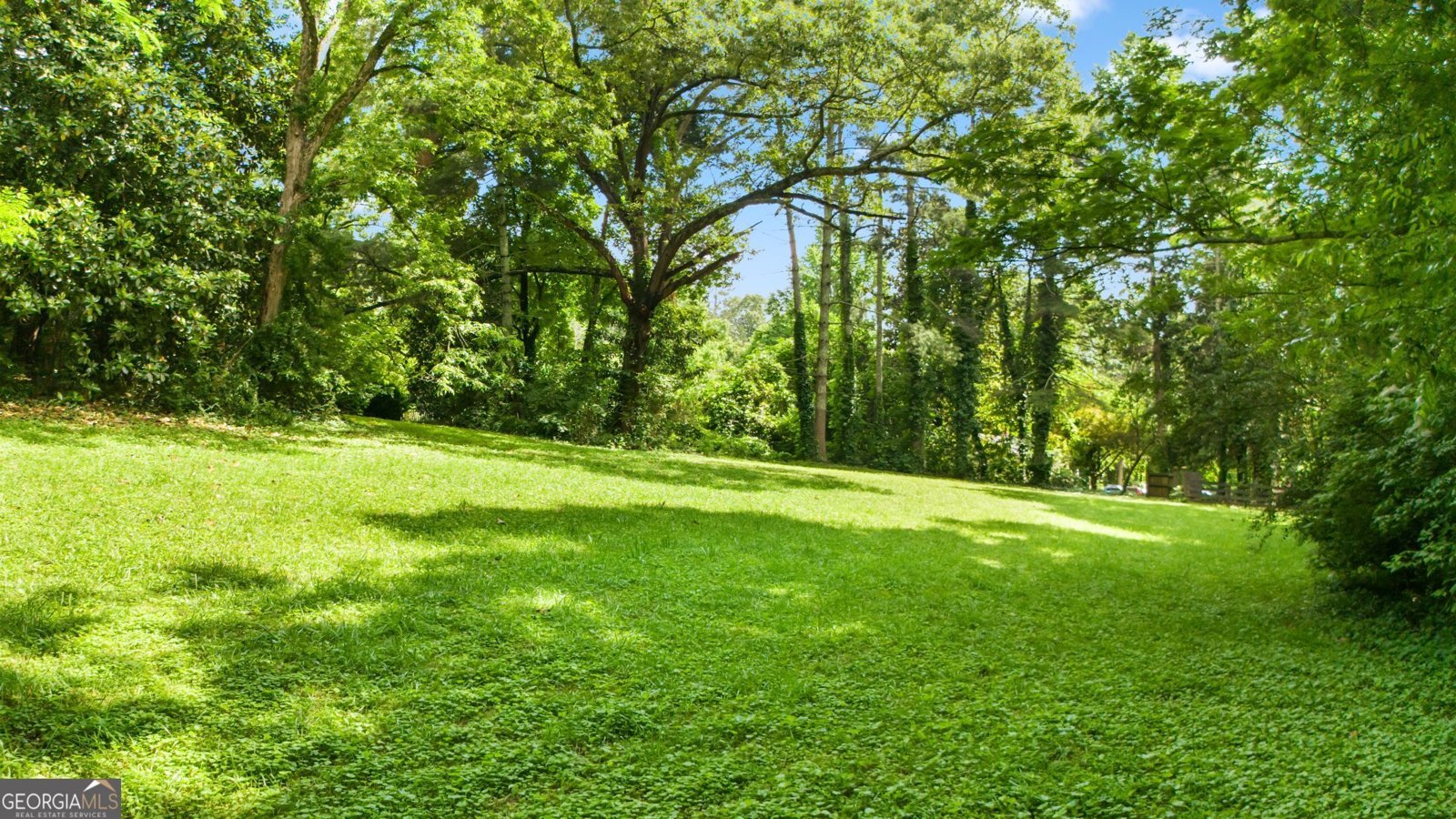 12728 Bells Ferry Road Canton - 6