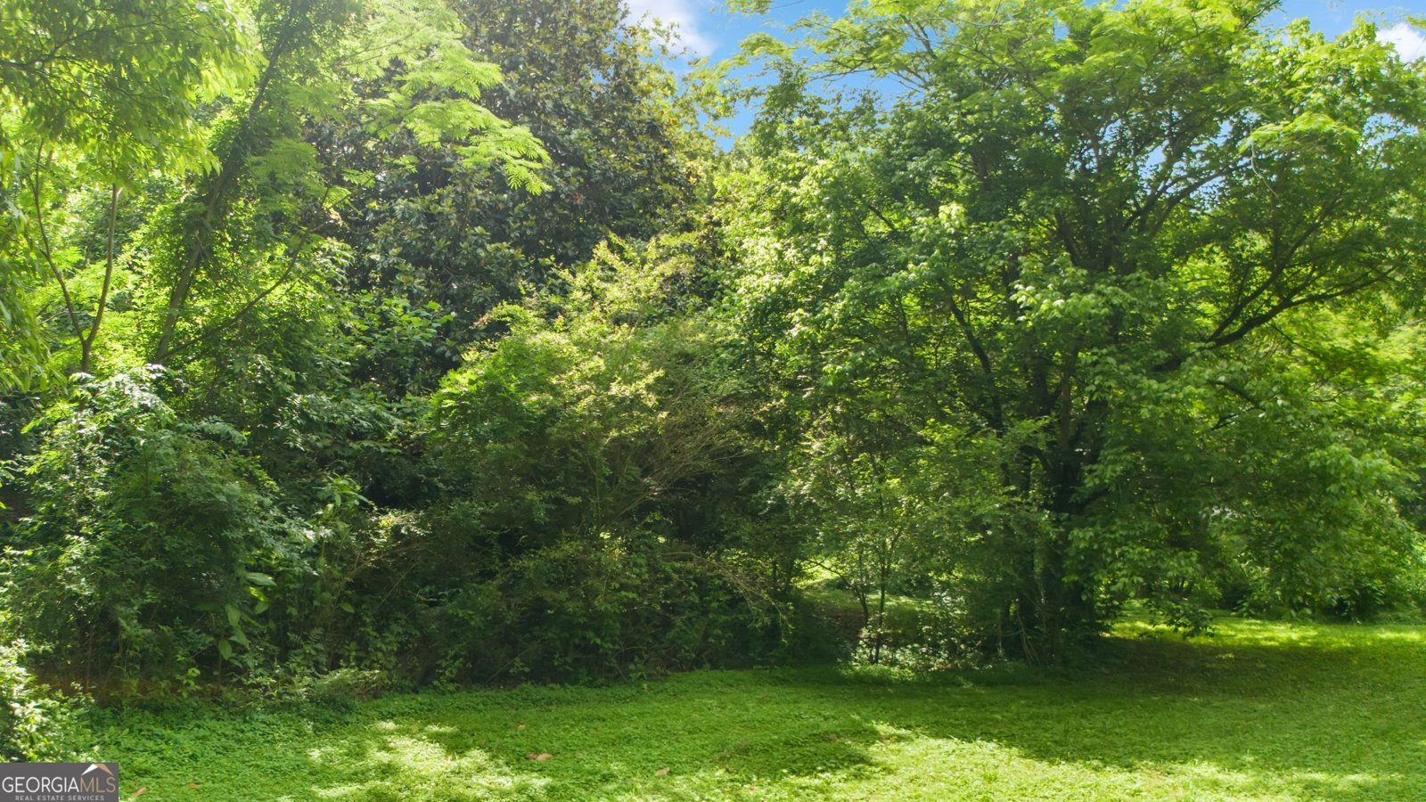 12728 Bells Ferry Road Canton - 9