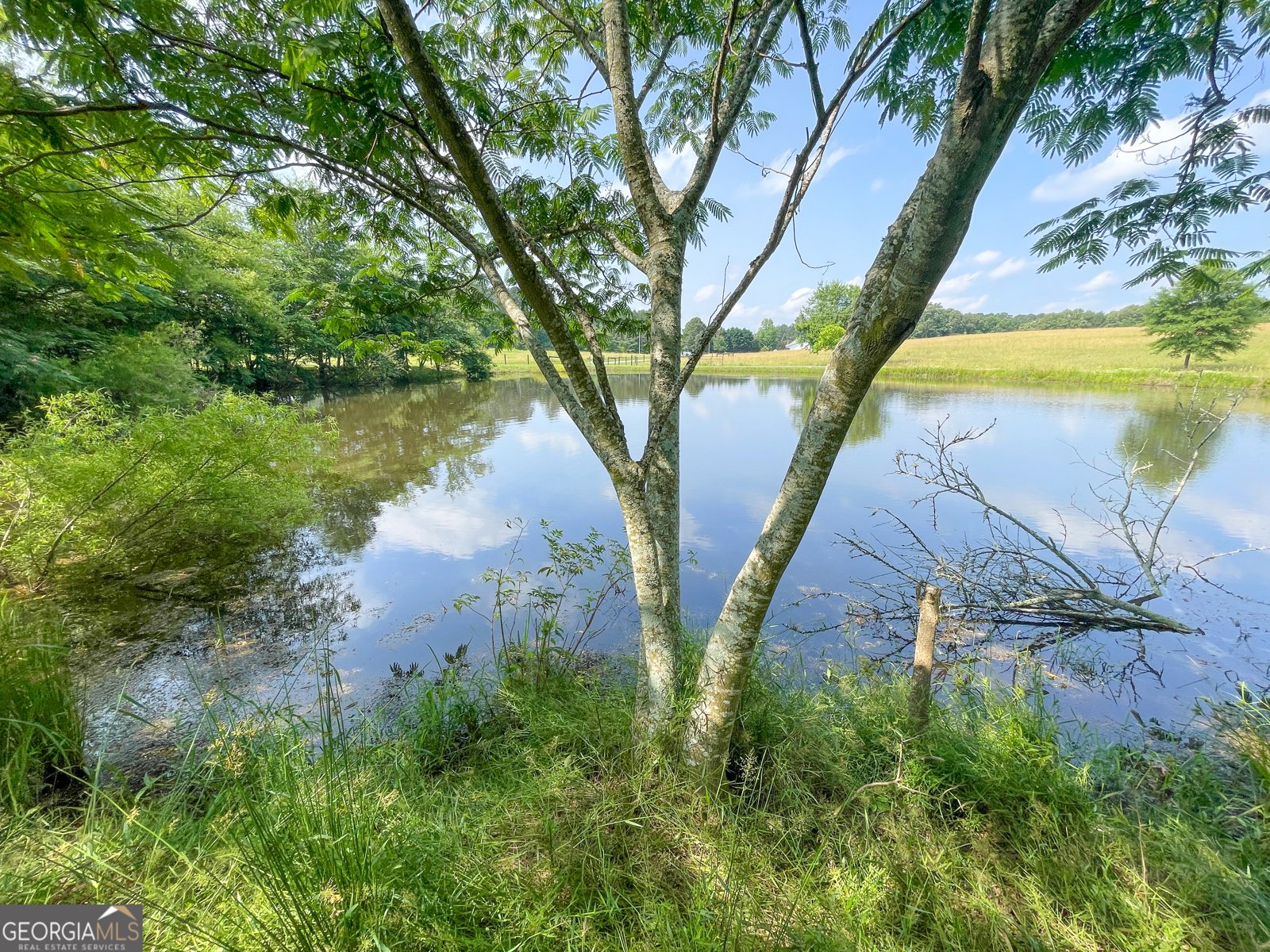 221 Dry Creek Road Adairsville - 7