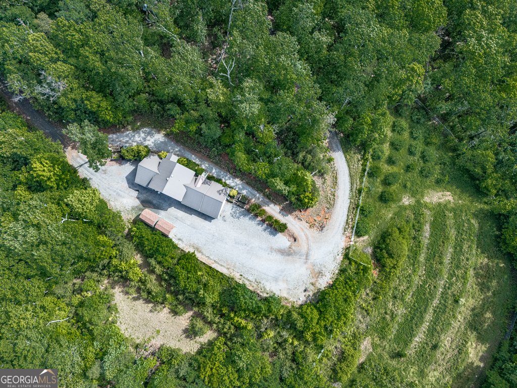 601 Cartecay Trace Ellijay - 39
