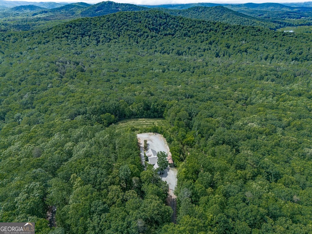 601 Cartecay Trace Ellijay - 40