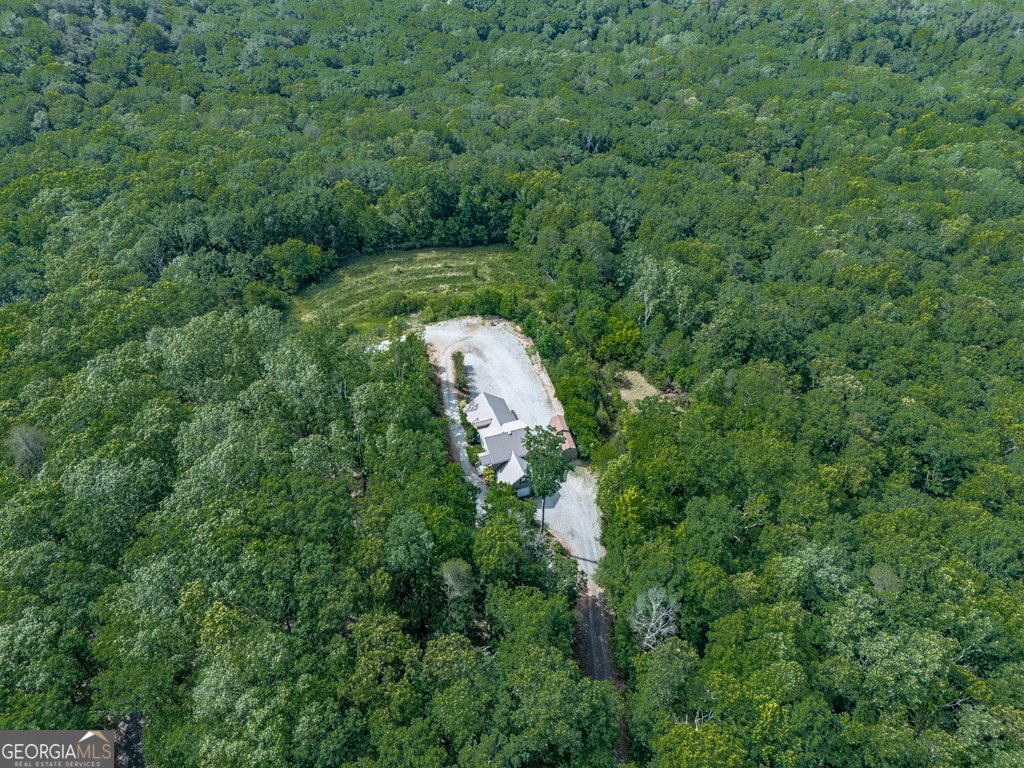 601 Cartecay Trace Ellijay - 41