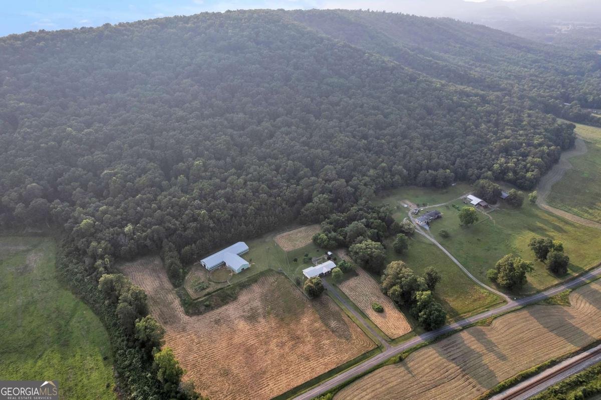955 Baugh Mountain Road Sugar Valley - 39