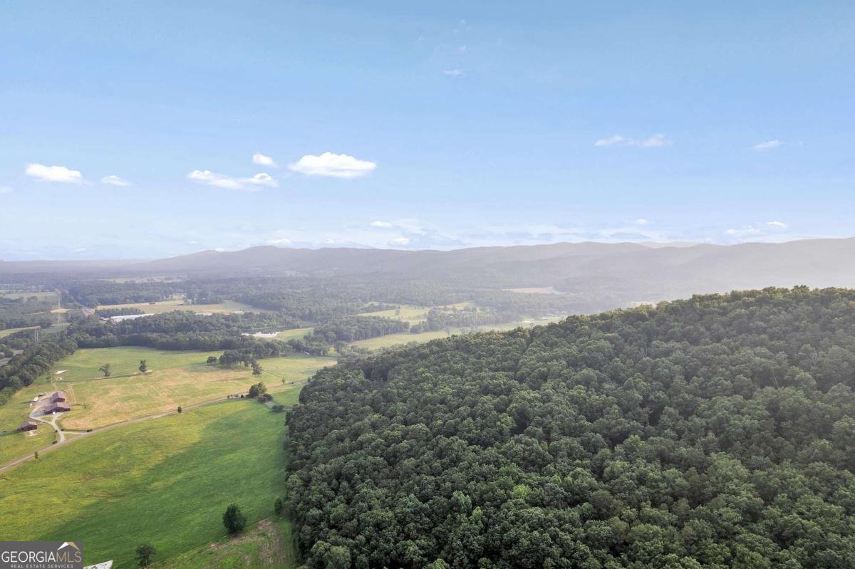 955 Baugh Mountain Road Sugar Valley - 46