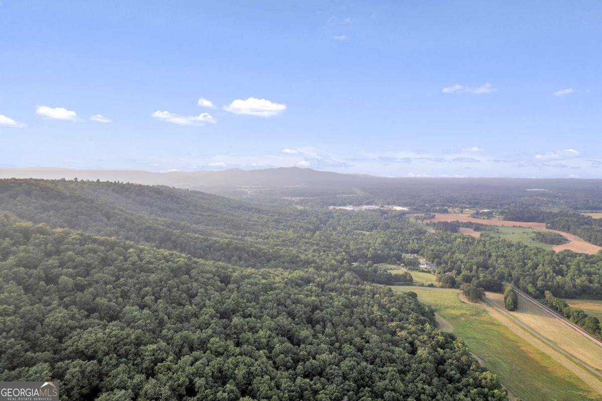955 Baugh Mountain Road Sugar Valley - 48
