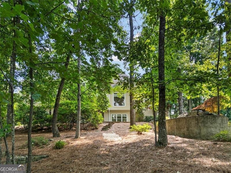 9745 Autry Falls Drive Alpharetta - 64