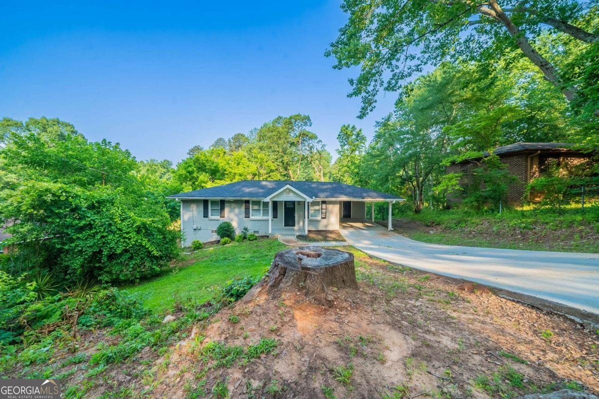 4457 Lincoln Jones Road Ellenwood - 1