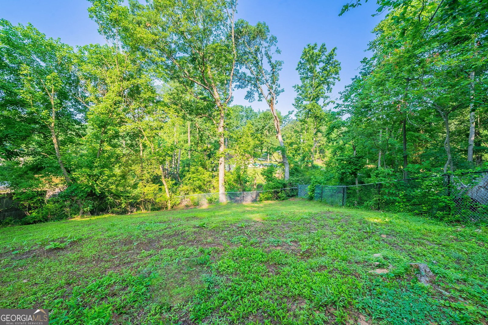 4457 Lincoln Jones Road Ellenwood - 23