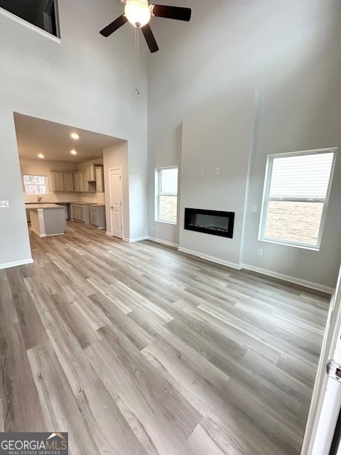 735 Cherokee Rose Bremen - 3