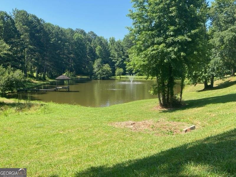 4110 Gentle Breeze Way Braselton - 60