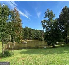 4110 Gentle Breeze Way Braselton - 61