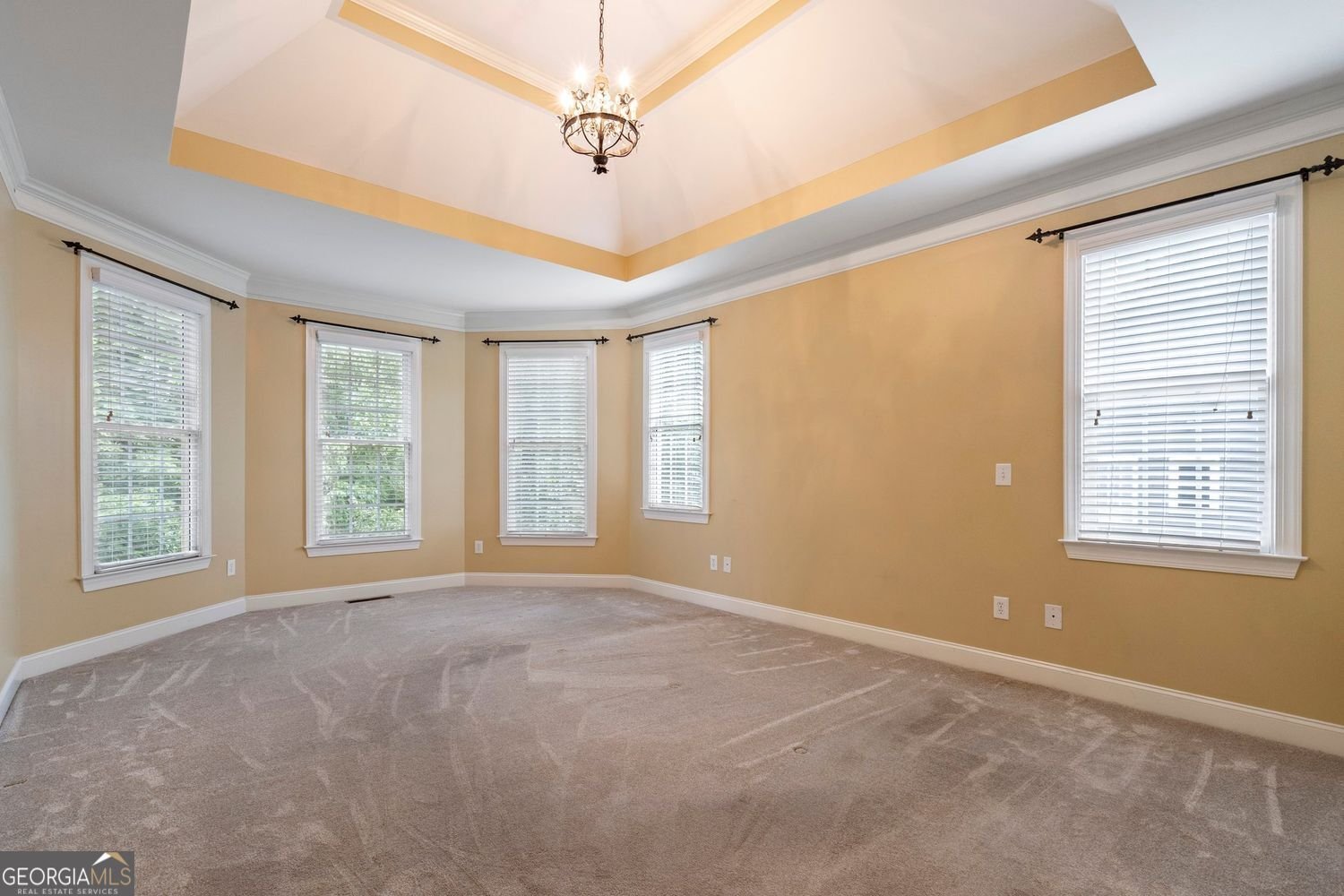 203 Crescent Moon Way Canton - 10