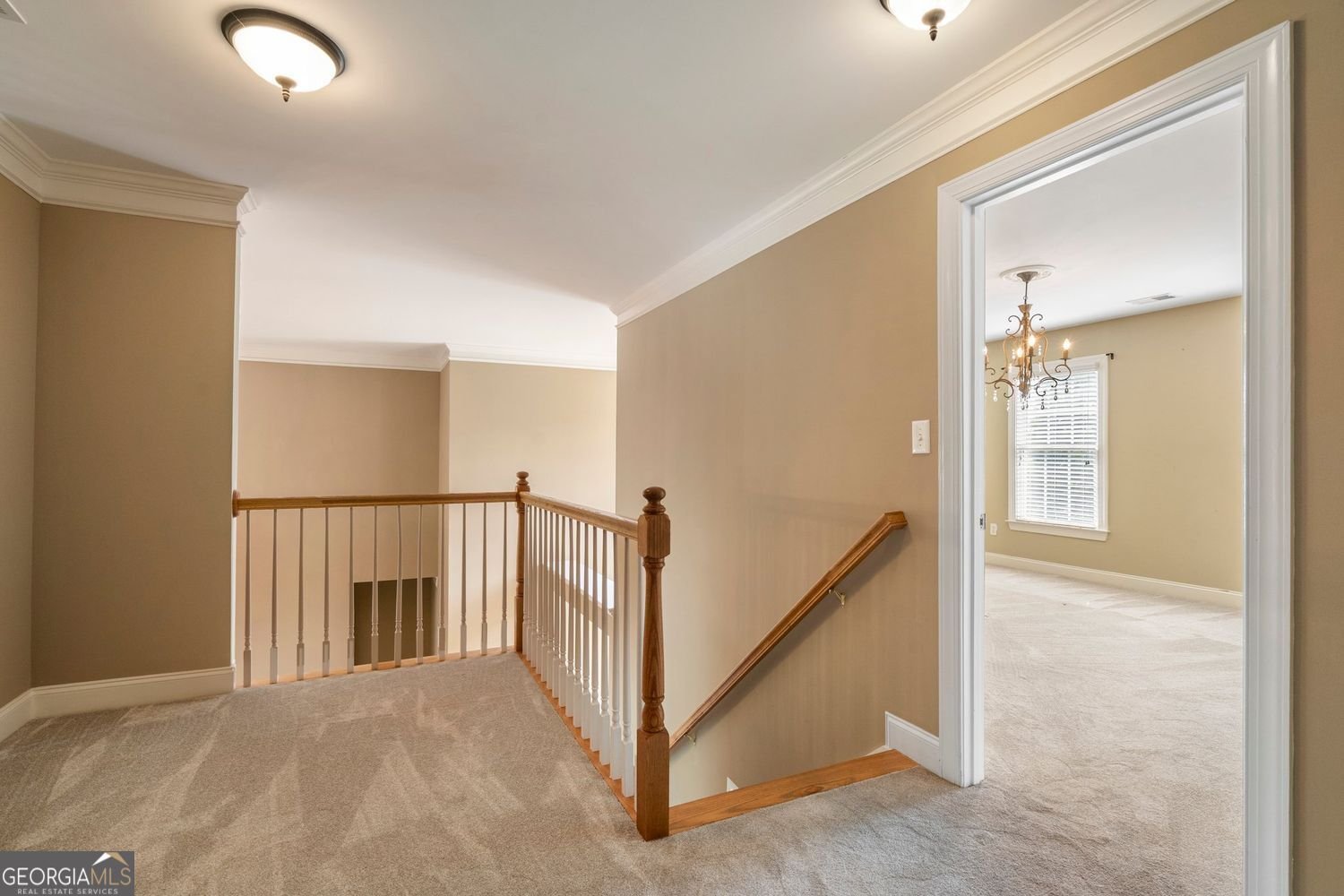 203 Crescent Moon Way Canton - 17