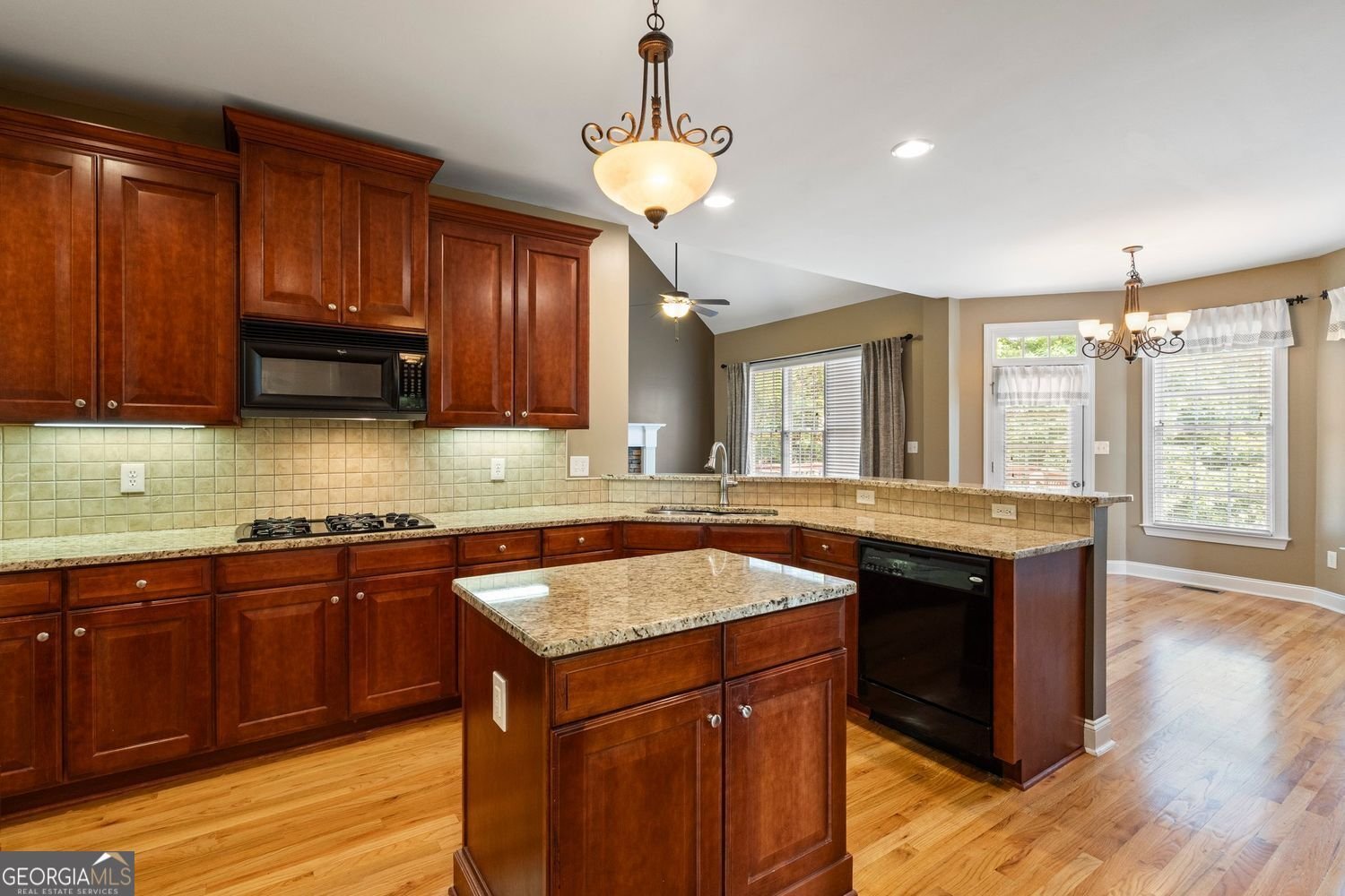 203 Crescent Moon Way Canton - 2