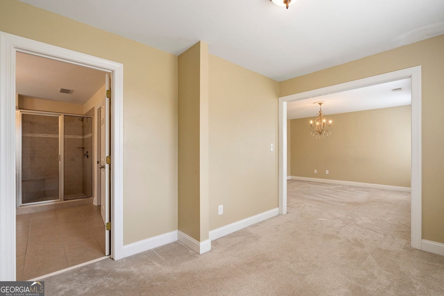 203 Crescent Moon Way Canton - 21